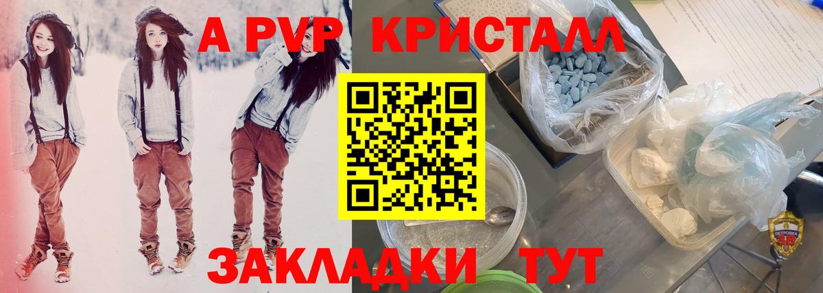 Альфа ПВП СК КРИС Шали