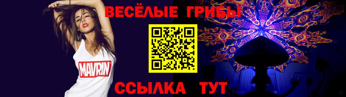 цены наркотик  Вход с VPN  Шали  Псилоцибиновые грибы прущие грибы 